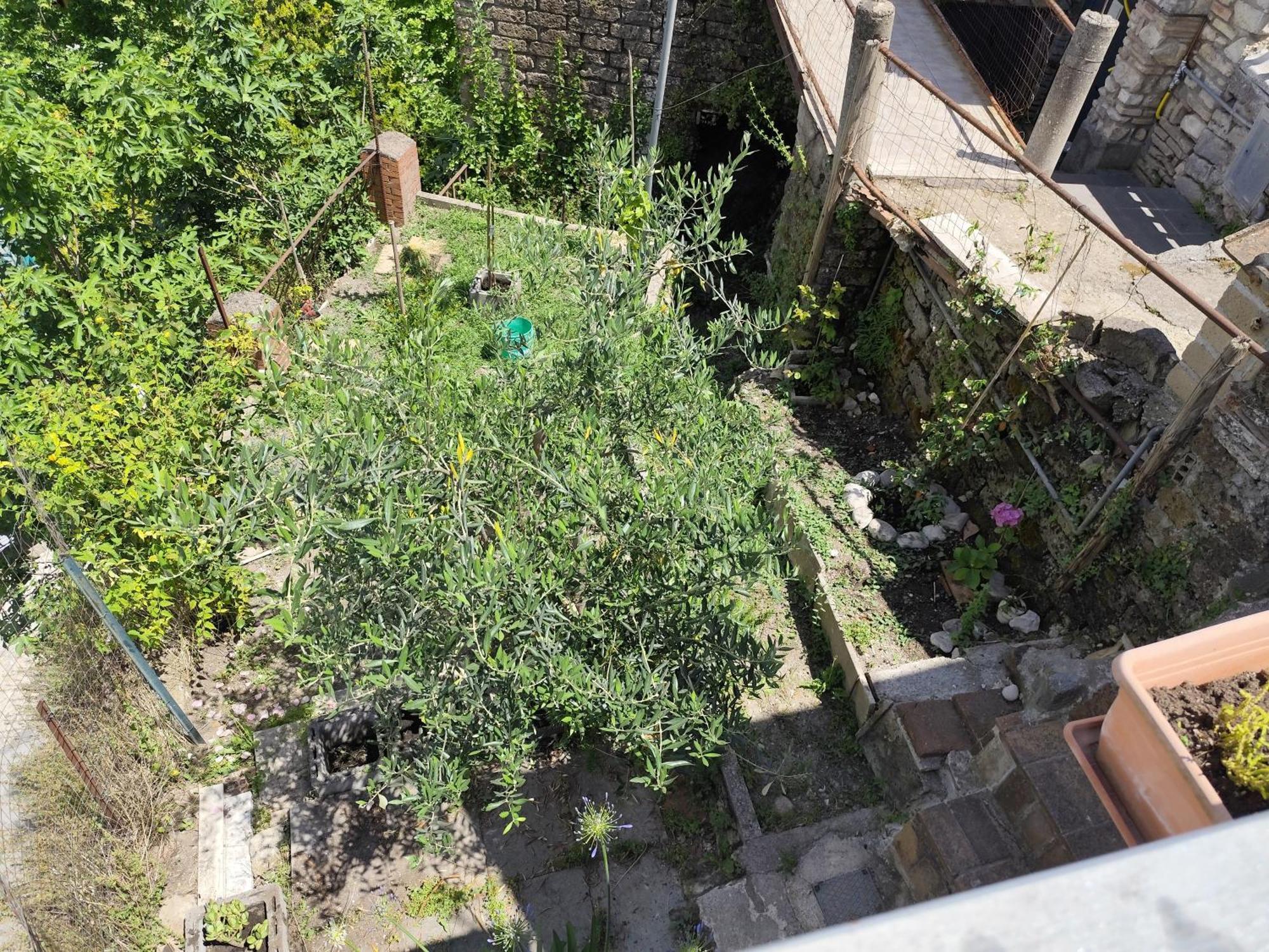 Casa In Antico Borgo Medievale A Tarano Ri, Via Giacomo Leopardi, 15 Βίλα Εξωτερικό φωτογραφία