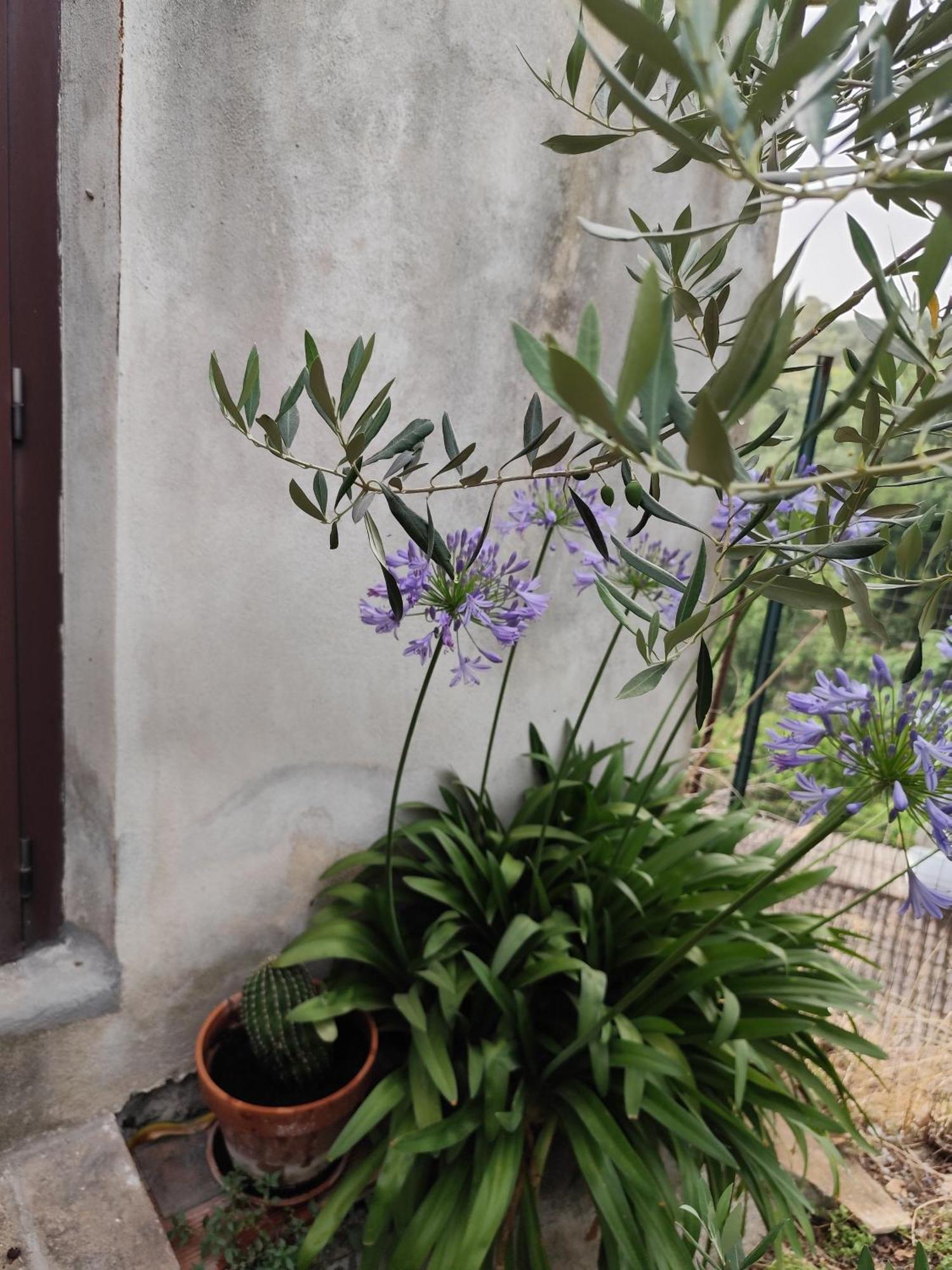 Casa In Antico Borgo Medievale A Tarano Ri, Via Giacomo Leopardi, 15 Βίλα Εξωτερικό φωτογραφία